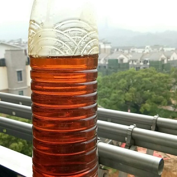 长年供应自榨纯熟桐油