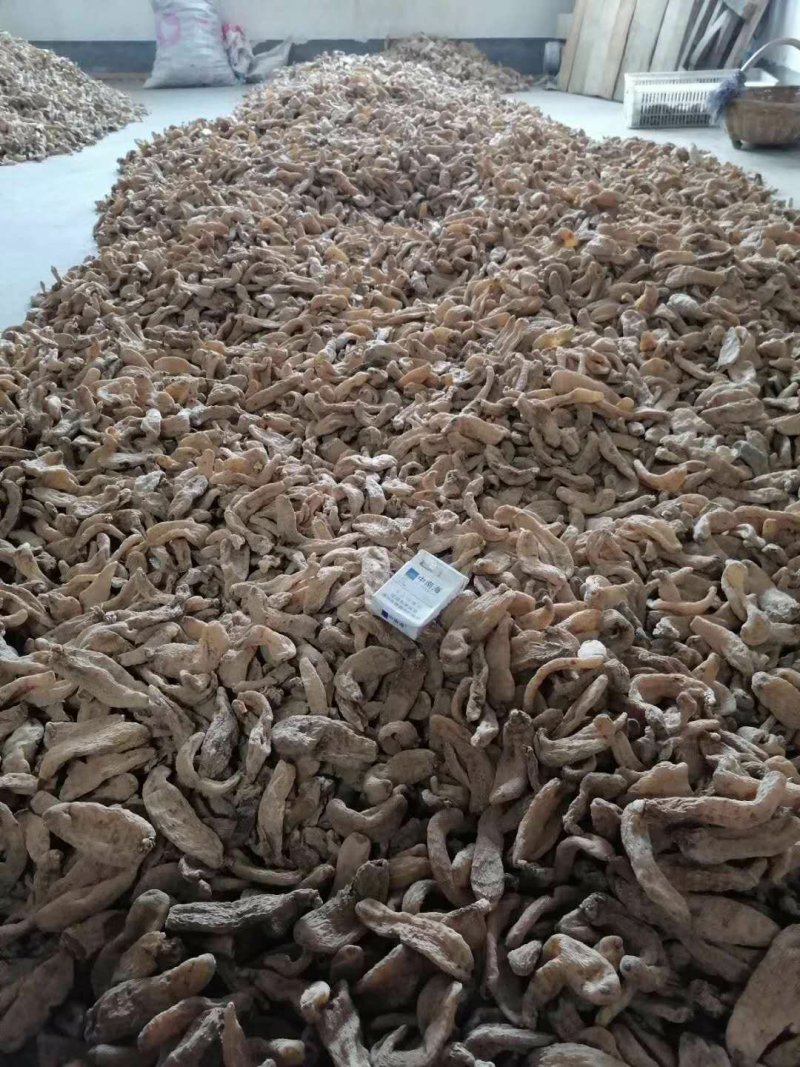 秦岭林下种植天麻、仿野生种植天麻各个等级