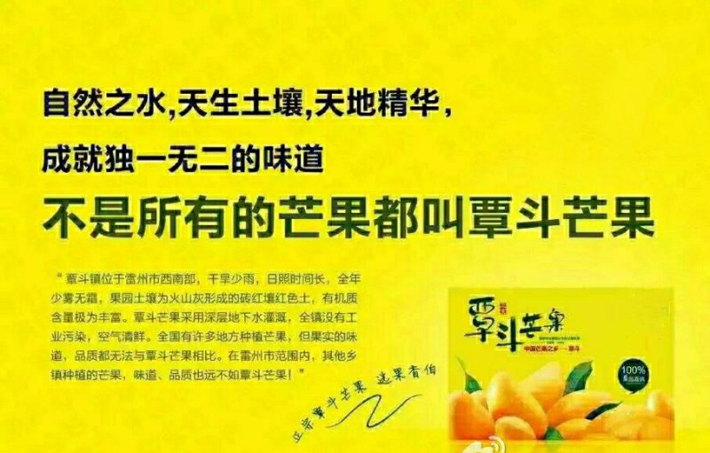 雷州覃斗台农芒果，鸡蛋芒，果园现摘，产地直供。芒果之乡