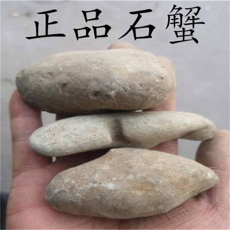 石蟹，产地直供道地药材，药典标准支持线上交易保障
