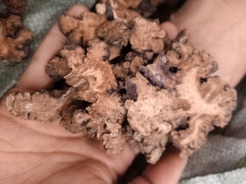 川芎统货选货过4个筛子川芎薄片可常年供应全国发货