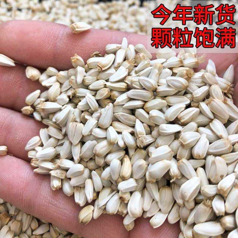 红花子，产地直供道地药材，药典标准支持线上交易保障