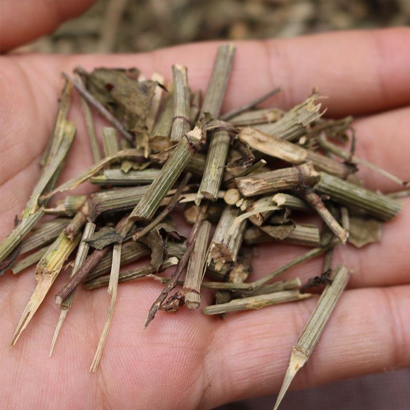 白花丹，产地直供道地药材，药典标准支持线上交易保障
