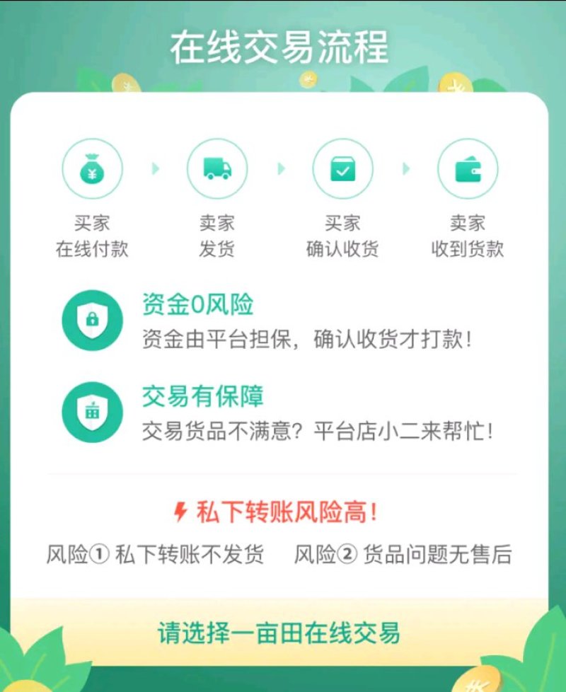 长果桑树苗大果桑树苗长果桑苗适合盆栽庭院种植包邮