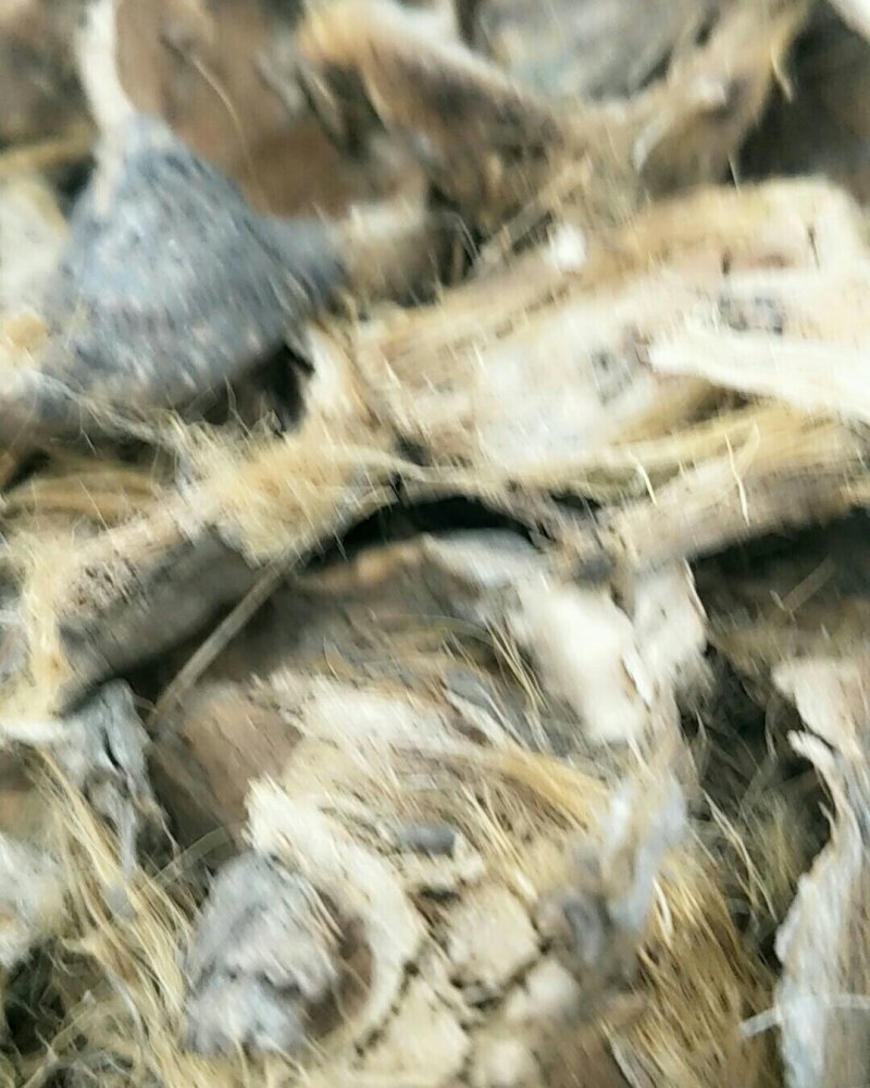 大腹皮，常年批发供应大腹皮中药材