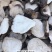 附片（黑，白，生，黄）