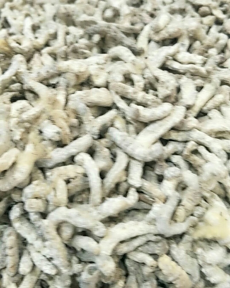 僵蚕，常年批发供应正品僵蚕，中药材量大从优