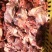 国产牛头碎肉，无油无胰子块大，量大优惠