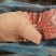 进口猪肉(六分体，猪头，猪手)副产品
