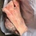 进口猪肉(六分体，猪头，猪手)副产品