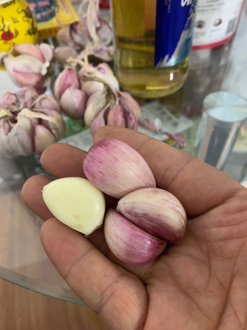 紫皮干大蒜一手货源产地一手货源