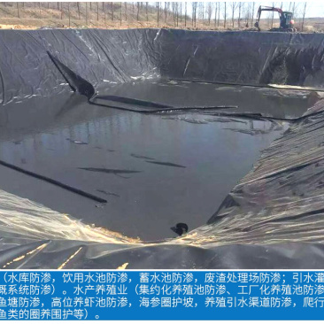 防渗土工膜