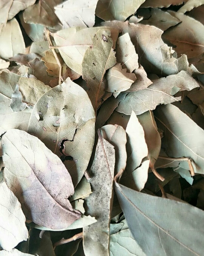 香叶，常年批发供应各种规格产地香叶药食同源中药材