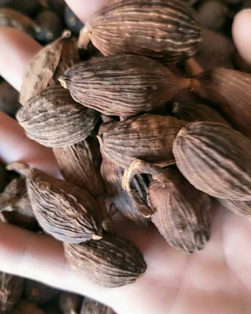 草果，常年批发供应药食同源，草果材料