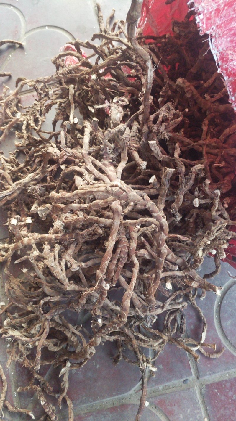 石菖蒲水洗无毛无杂志大个粉质好过滚筒。