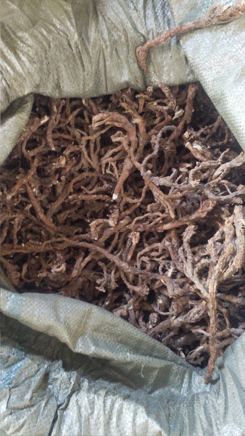 石菖蒲水洗无毛无杂志大个粉质好过滚筒。