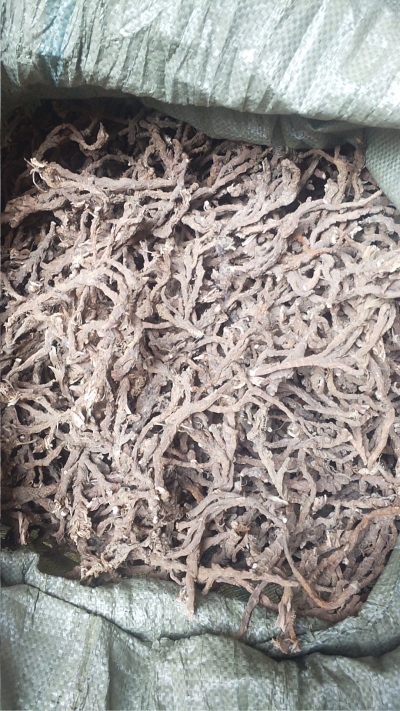 石菖蒲水洗无毛无杂志大个粉质好过滚筒。