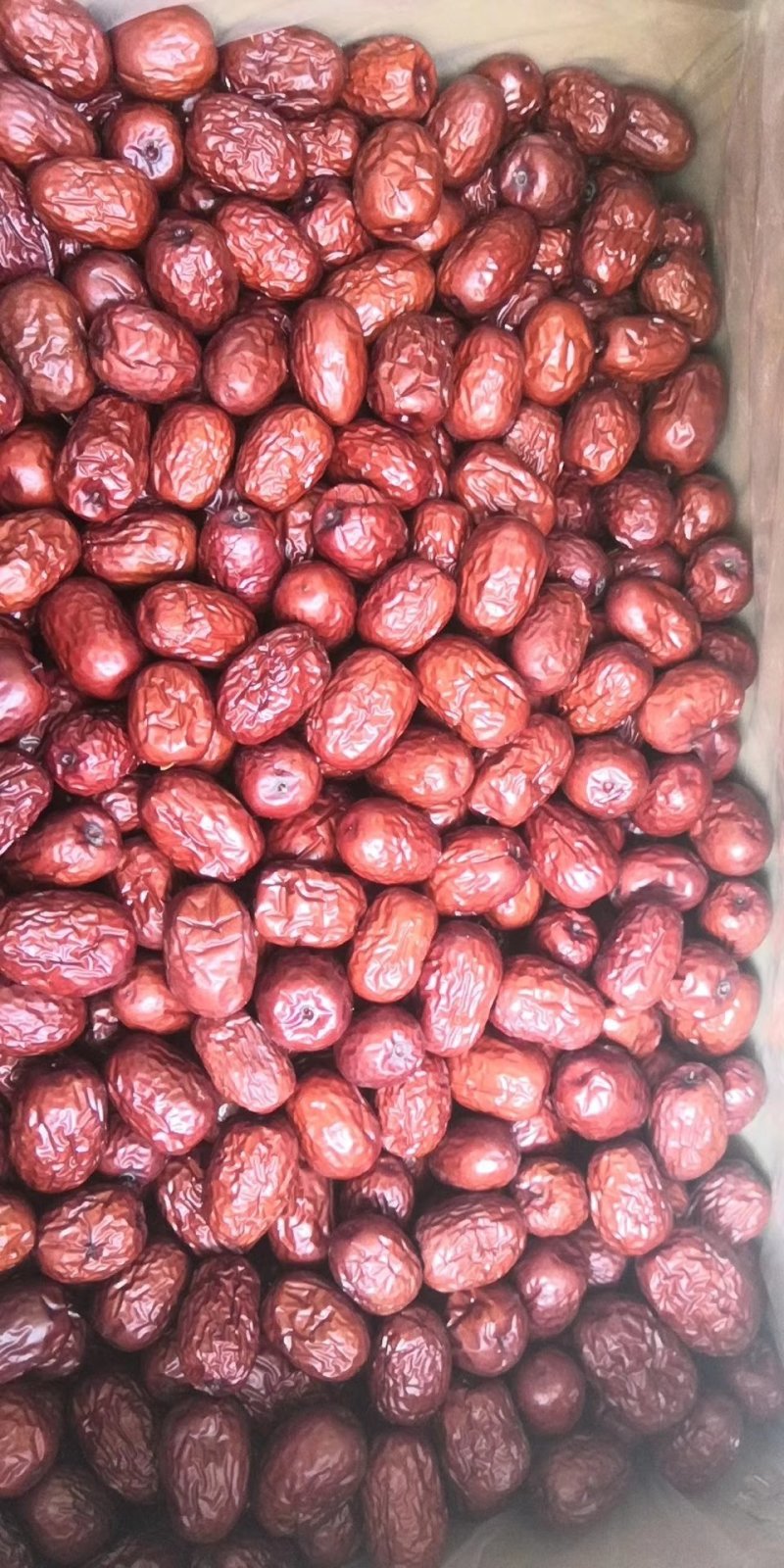 红枣，若羌大红枣，个头大新鲜，甜度高，颜色漂亮干度好