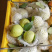 芭乐