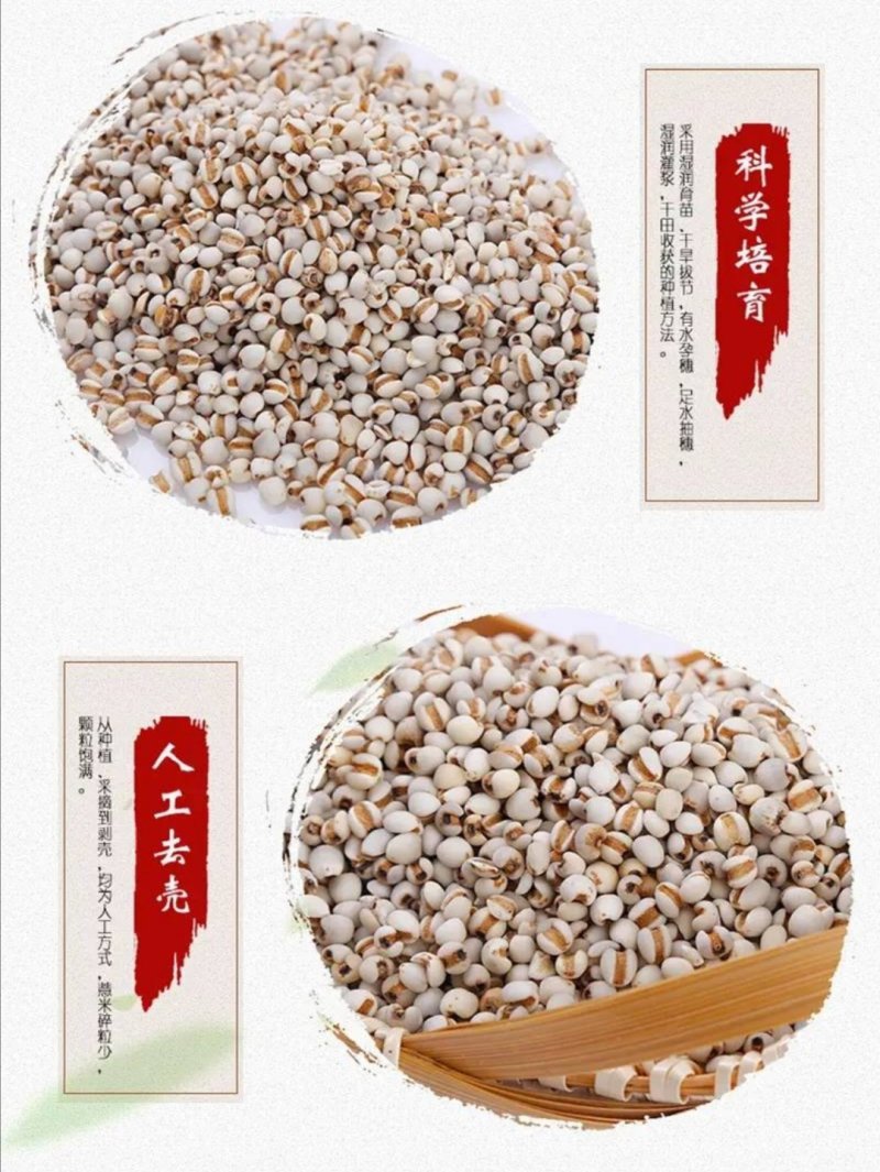 【贵州发货】贵州小薏米仁产地发货小薏仁米多规格可选包邮
