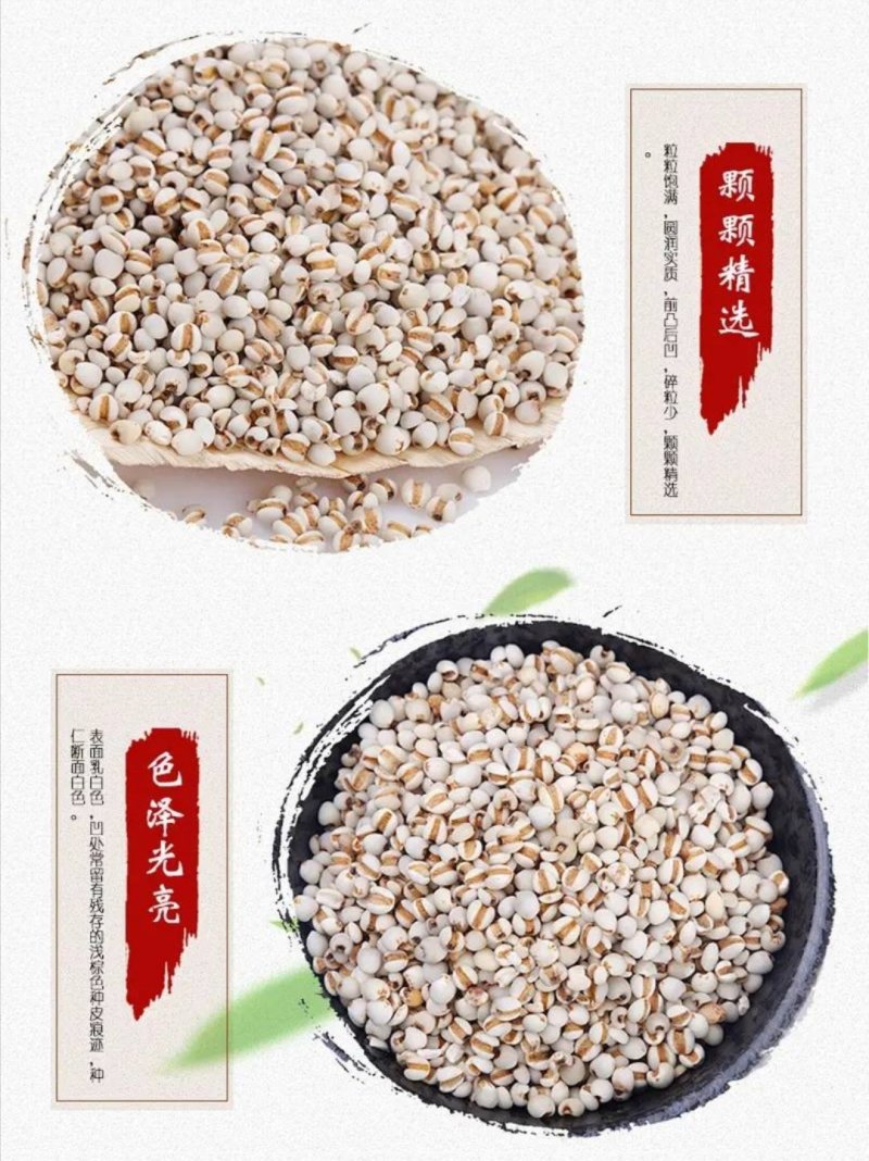 【贵州发货】贵州小薏米仁产地发货小薏仁米多规格可选包邮