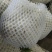 松花菜