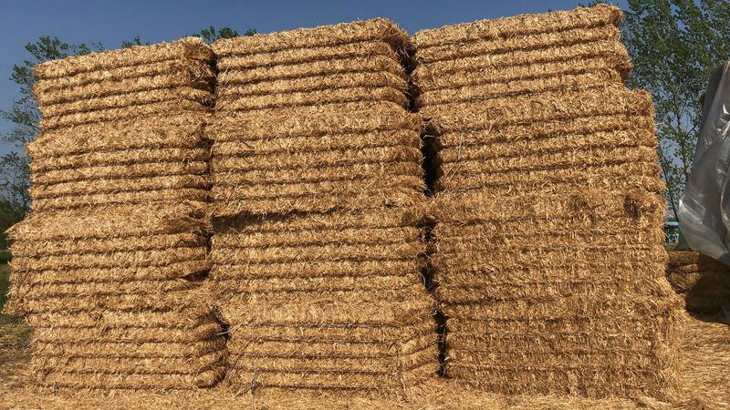 大量供应小麦秸秆需要的提前联系