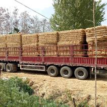 大量供应小麦秸秆需要的提前