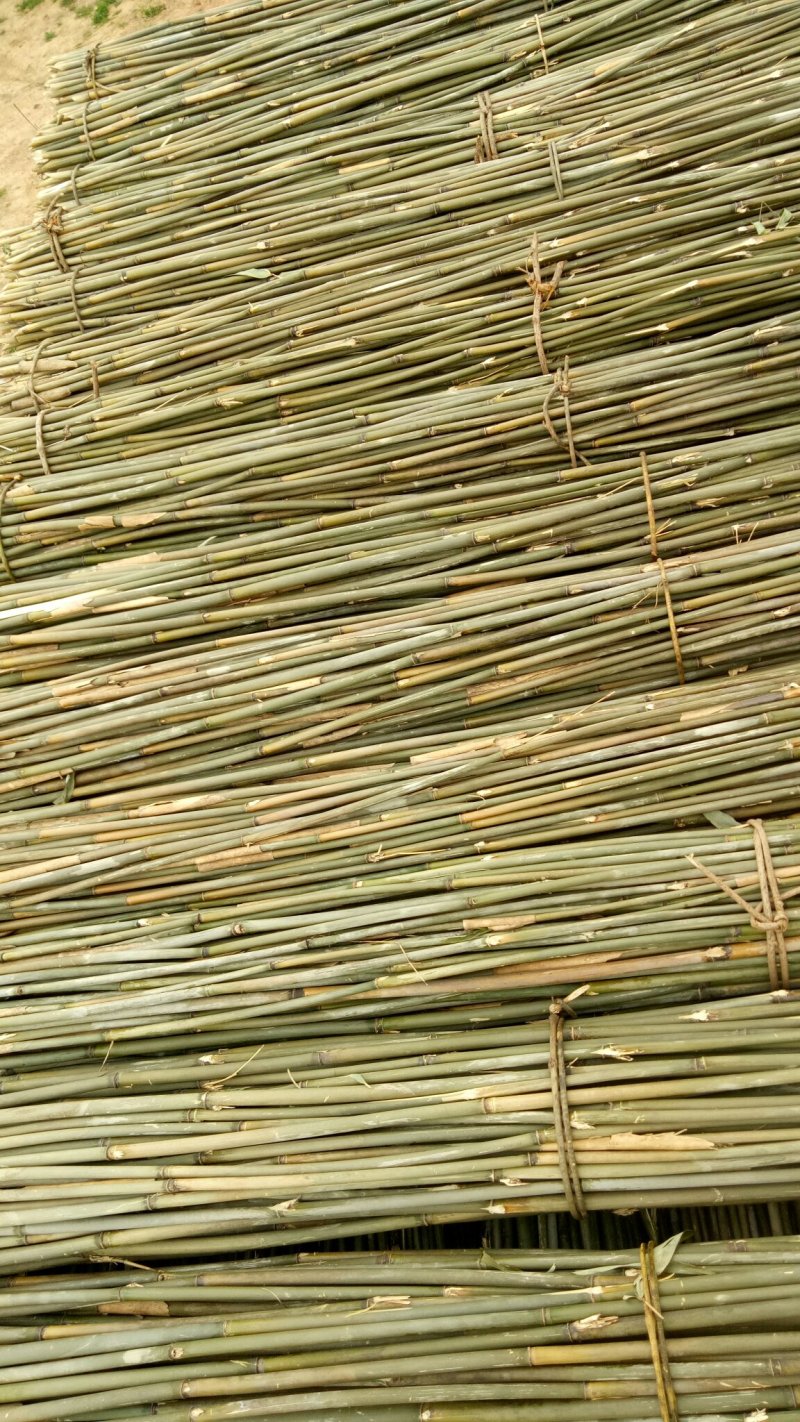 西红柿架杆，豆角架杆