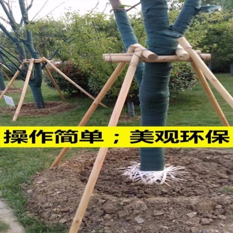 【热卖中】园林绿化用品，绿化树支撑杆，杨木杆，杉木杆，常年供