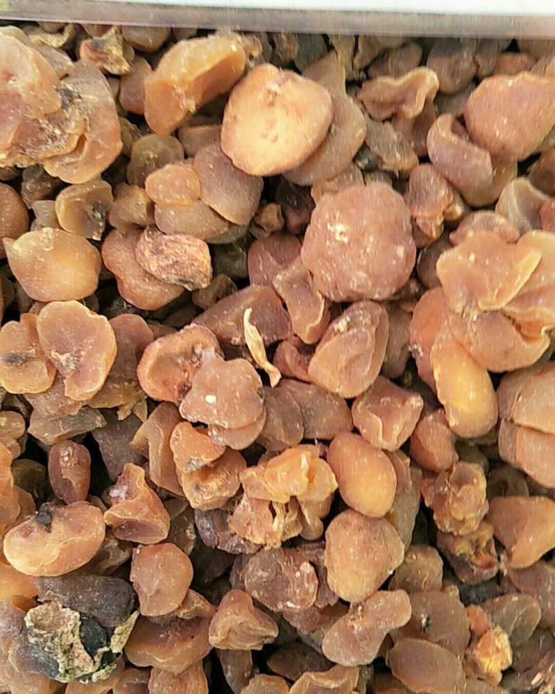 土贝母，常年批发供应土贝母，中药材量大从优