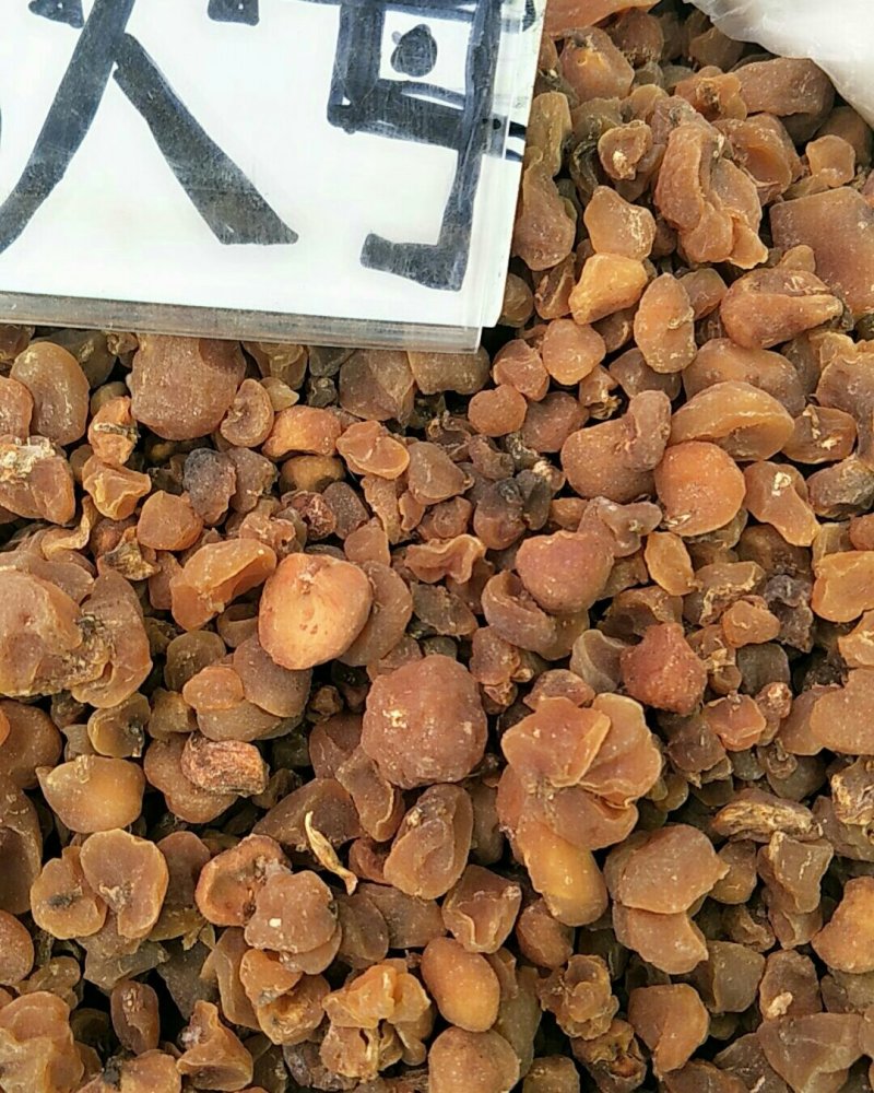土贝母，常年批发供应土贝母，中药材量大从优
