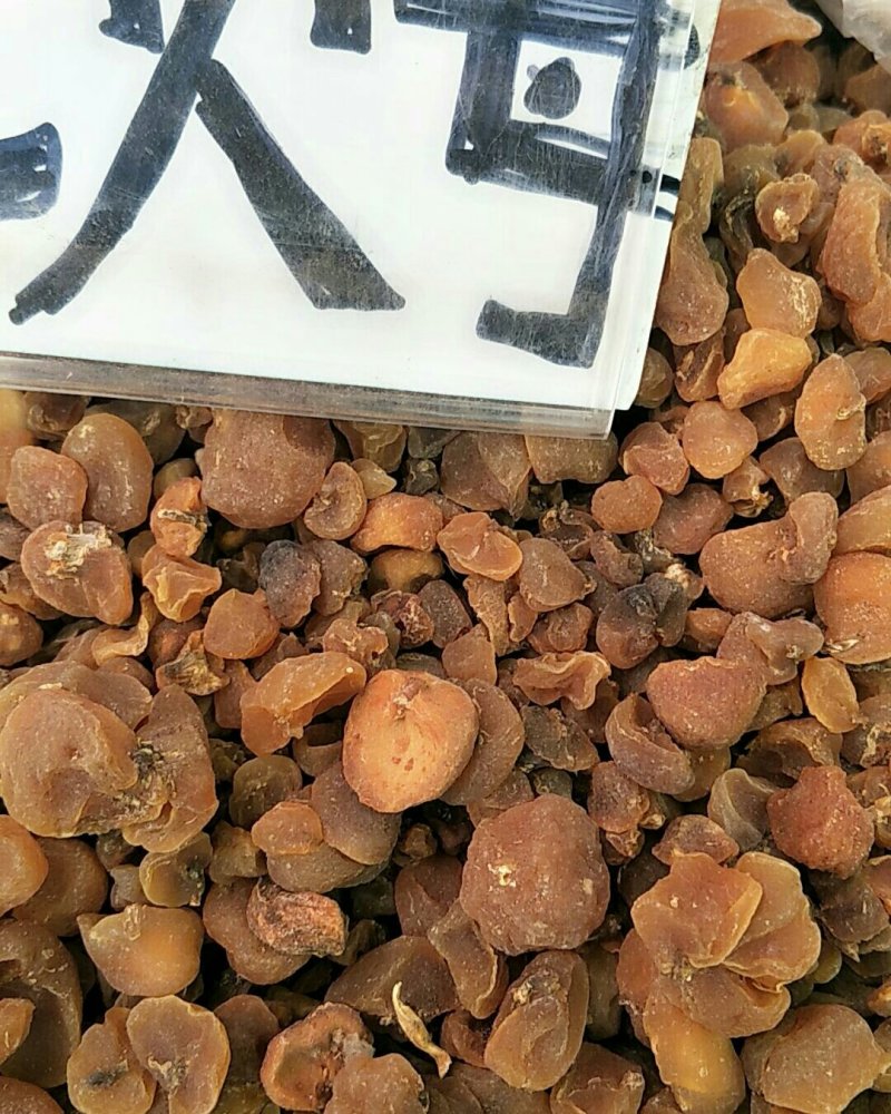 土贝母，常年批发供应土贝母，中药材量大从优