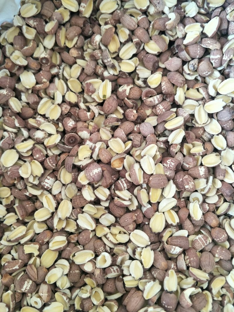 红莲子，常年批发供应各种规格产地红莲子药食同源