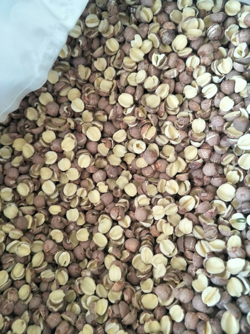 红莲子，常年批发供应各种规格产地红莲子药食同源