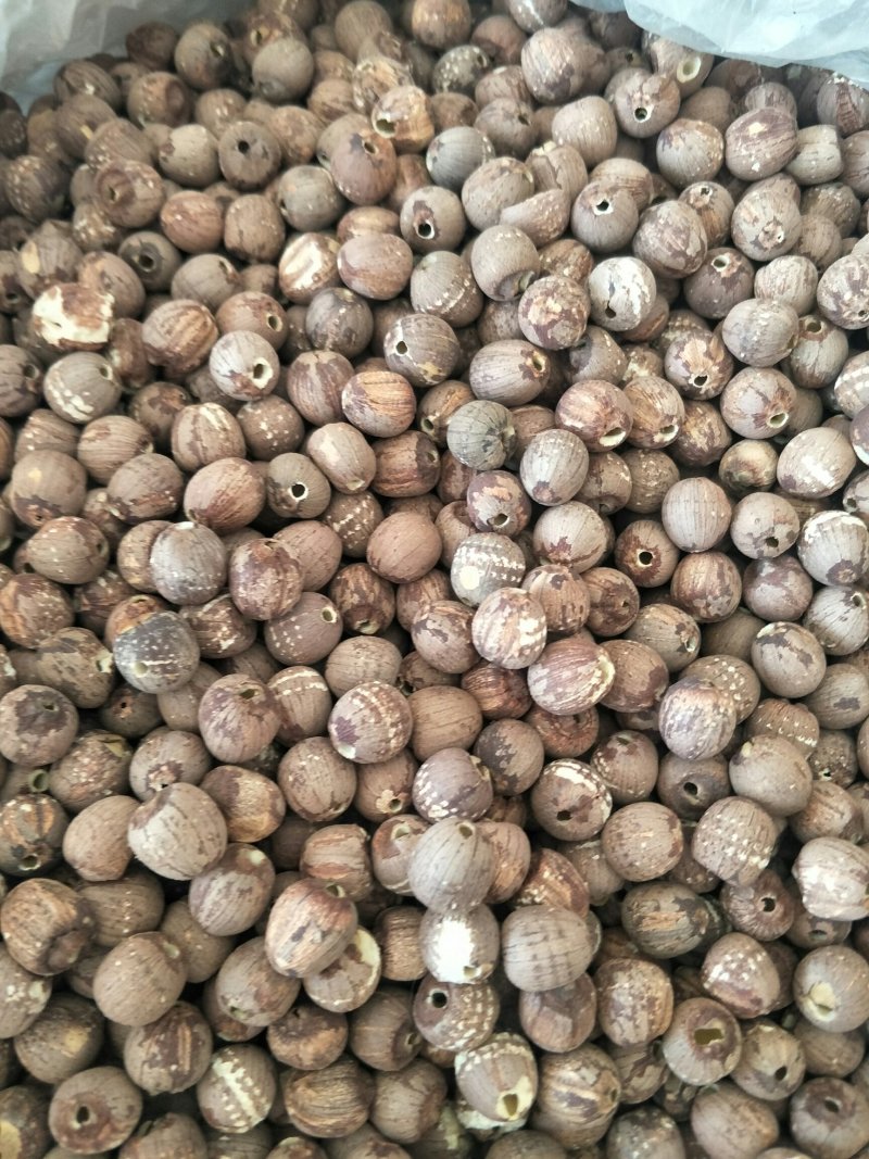 红莲子，常年批发供应各种规格产地红莲子药食同源