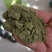 家种蒲公英
