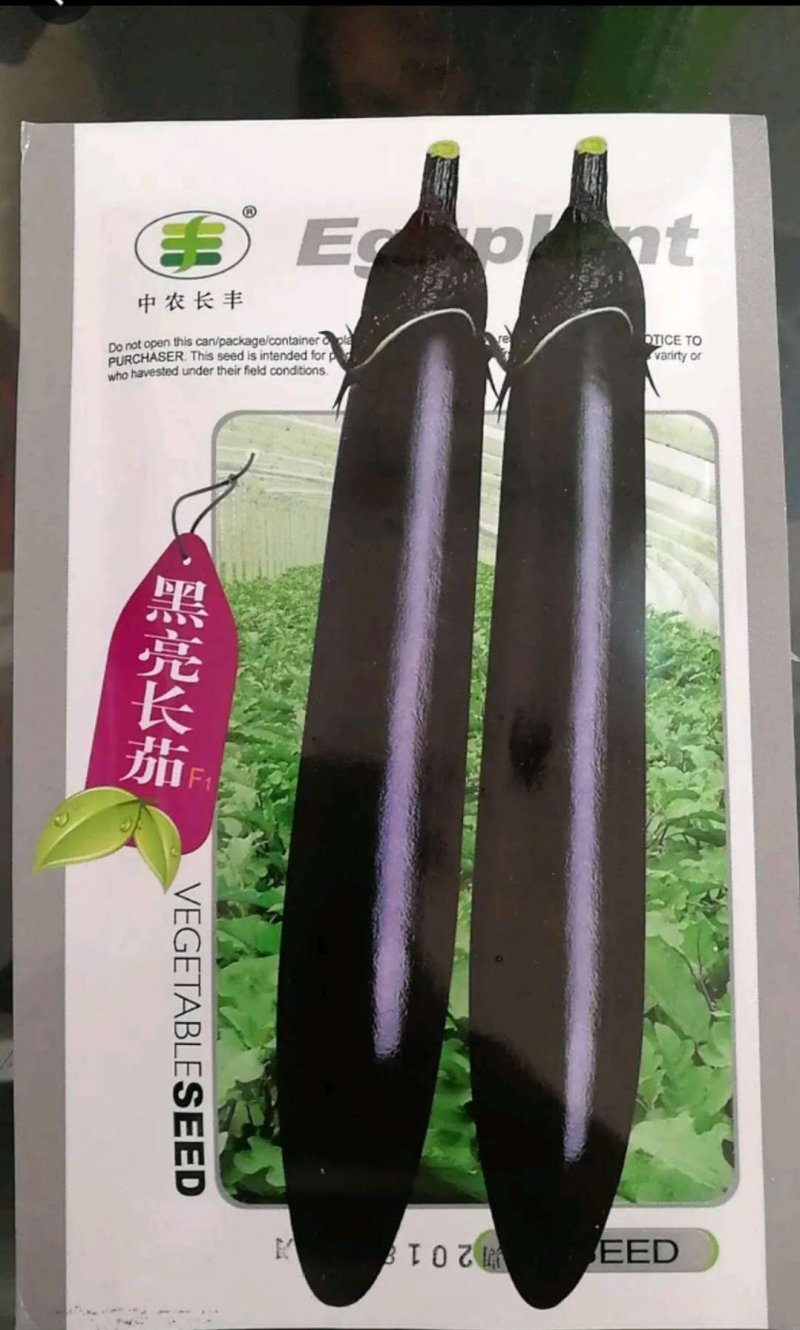 茄子种子优质丰产抗病强适应性广根系发达采收时长