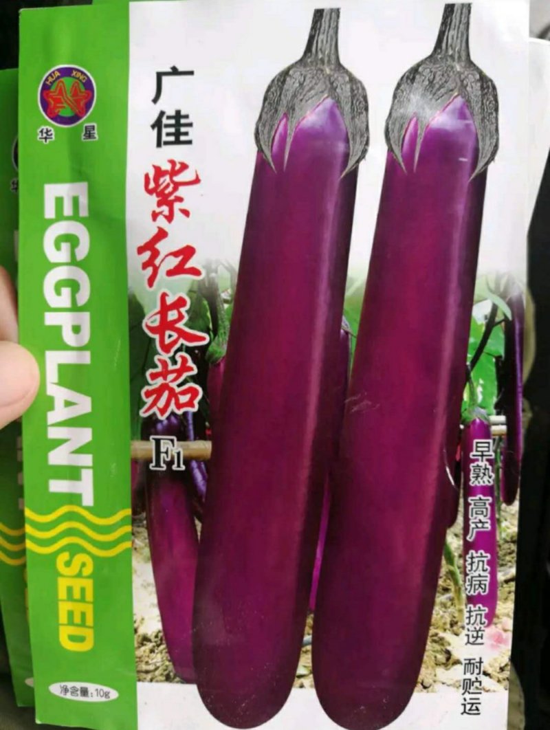 茄子种子皮薄子少肉嫩坐果能力强亩产万斤高抗病