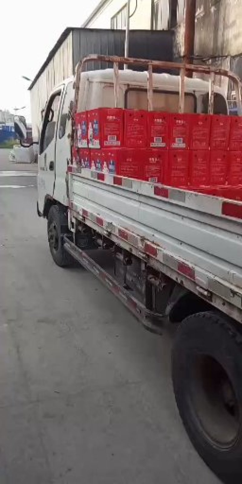 乳酸菌酸奶系列风味饮料厂家直销，诚招全国代理