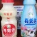 乳酸菌酸奶系列风味饮料厂家直销，诚招全国代理