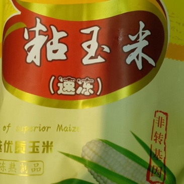 东北大鹅
