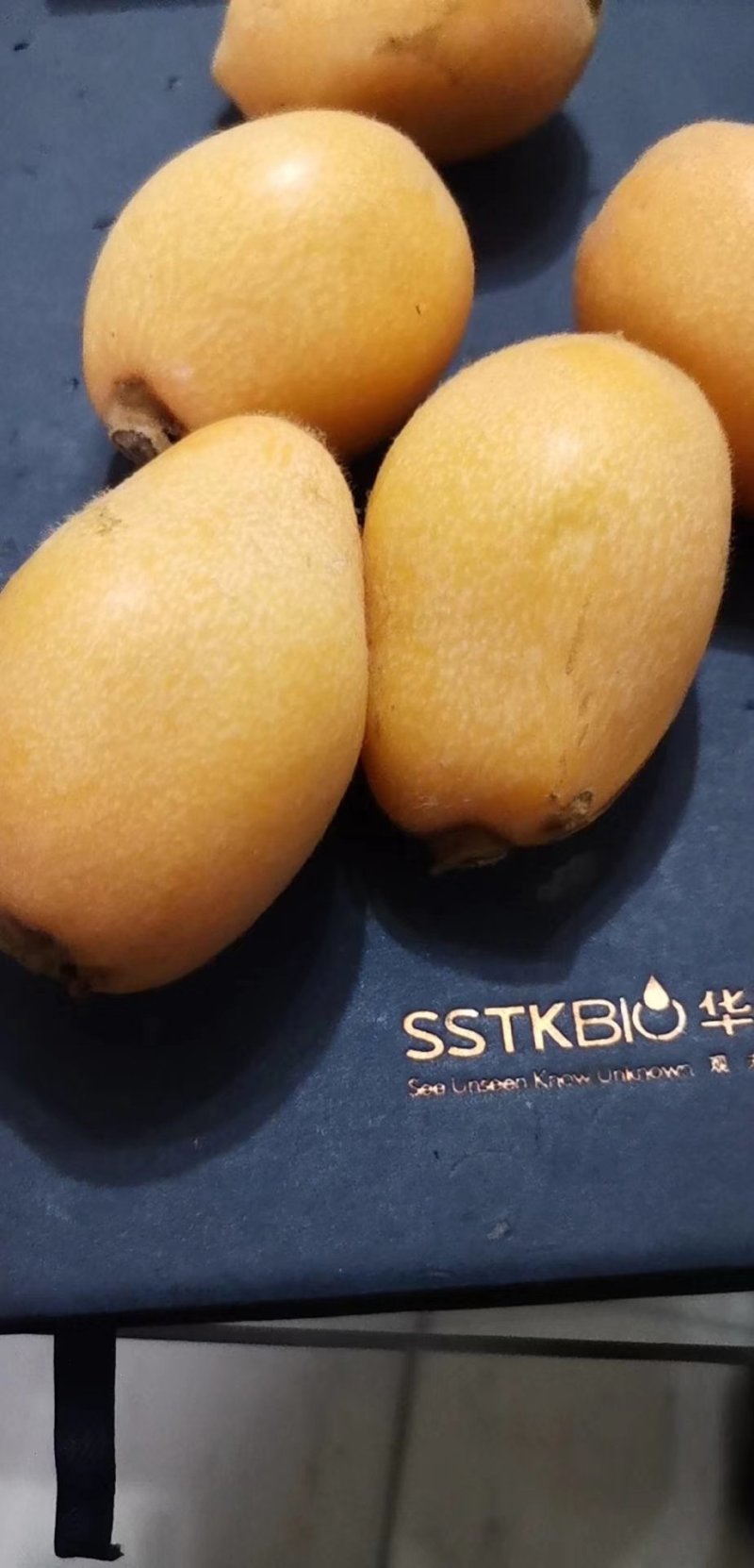 大红袍枇杷