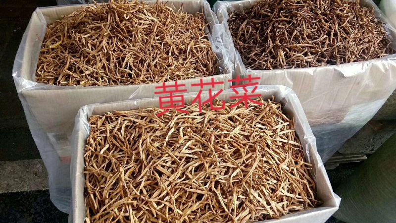 无硫黄花菜，直条黄花菜，针金菜一箱20斤