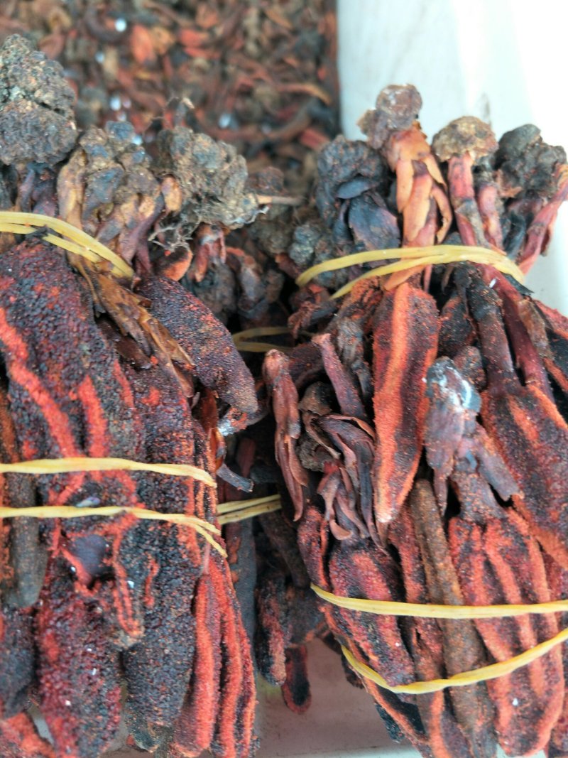 回春草，常年批发供应回春草，不老草中药材量大从优