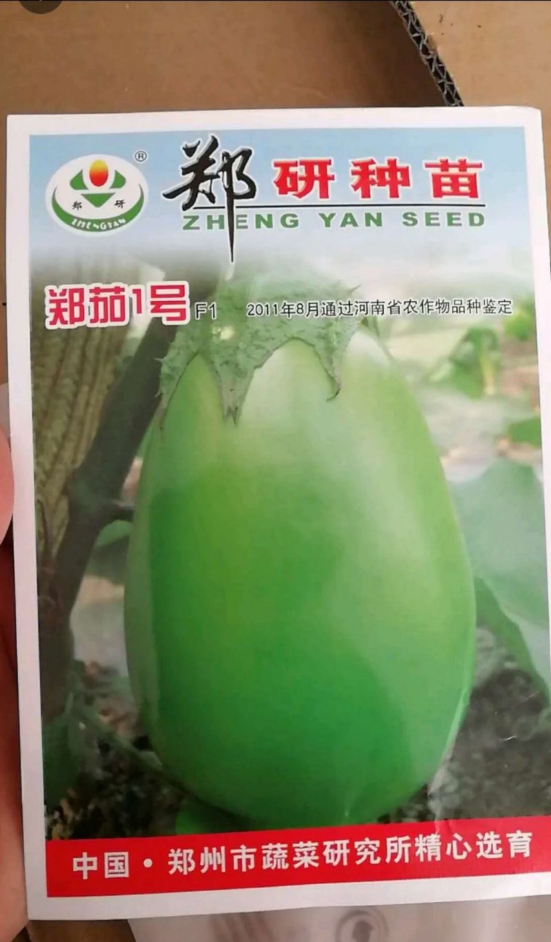 绿茄子种子抗病强单果1斤，亩产万斤商品性好