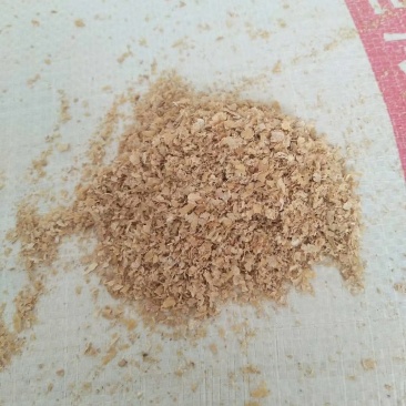 麸皮大厂麸皮五得利华龙诚信经营质量可靠