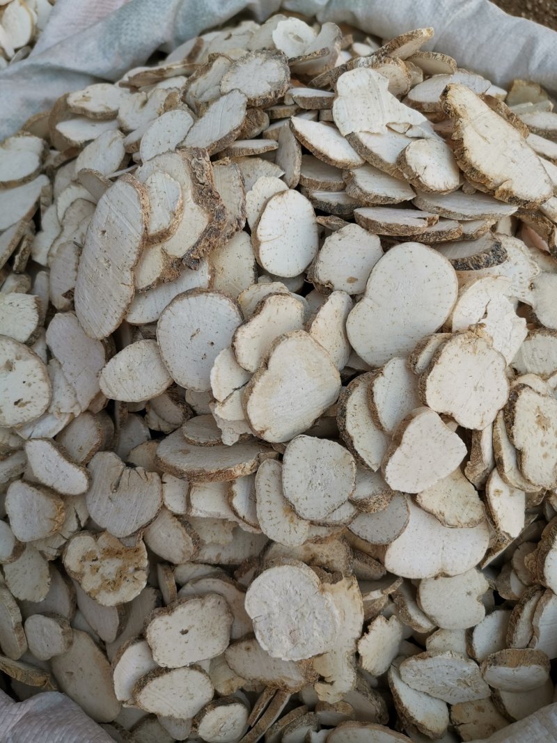 天花粉无硫净货统货精选各种规格产地直销品质保证