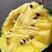 西瓜水果仁风富硒小兰新鲜黄瓤脆甜，产地直销全国发货