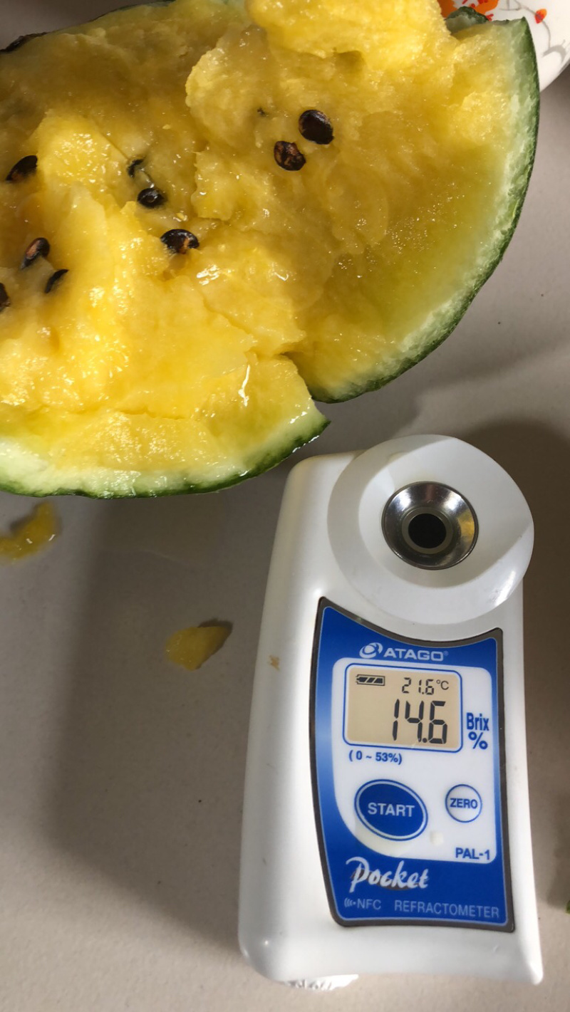 仁风富硒西瓜黄心西瓜当季新鲜水果商超品质产地直发